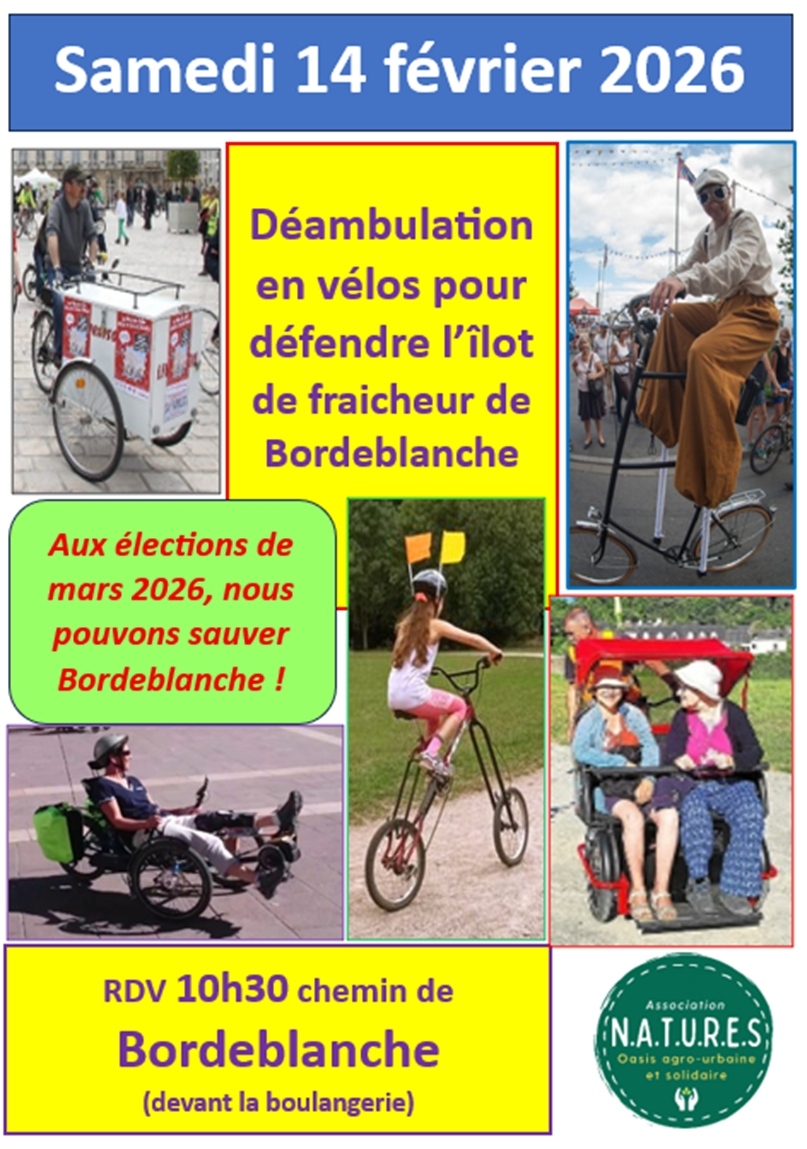 2026_02_14_deamb_ilot_bordeblanche